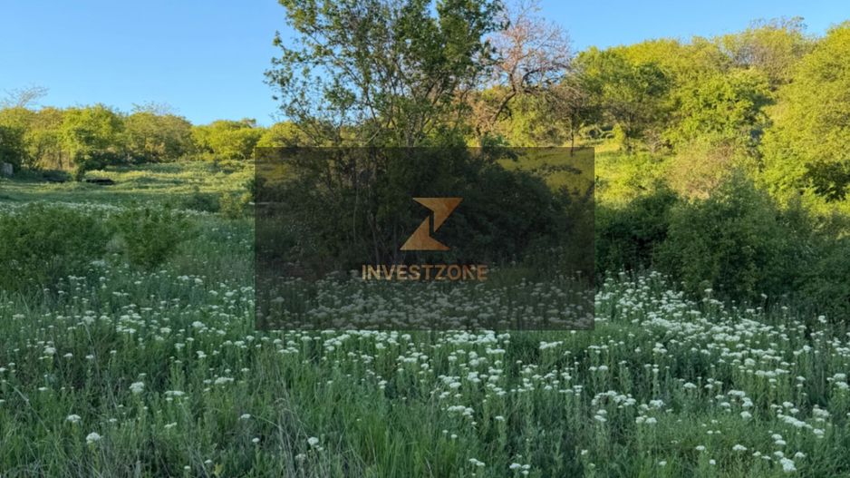 ⭐  Teren de 2.700 mp cu front generos – Ocazie în Oncea - Poză 4