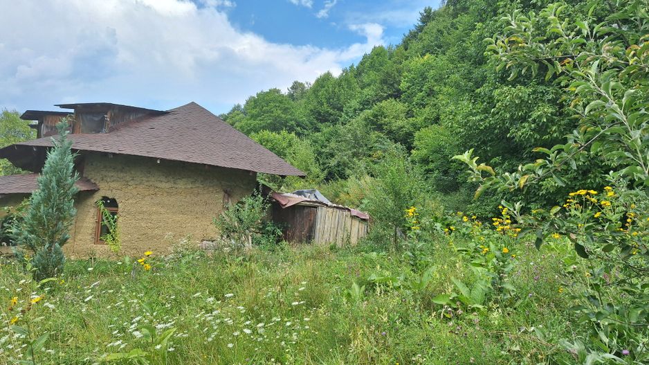 VANZARE ANSAMBLU CASUTE BRADULET ARGES - Poză 13