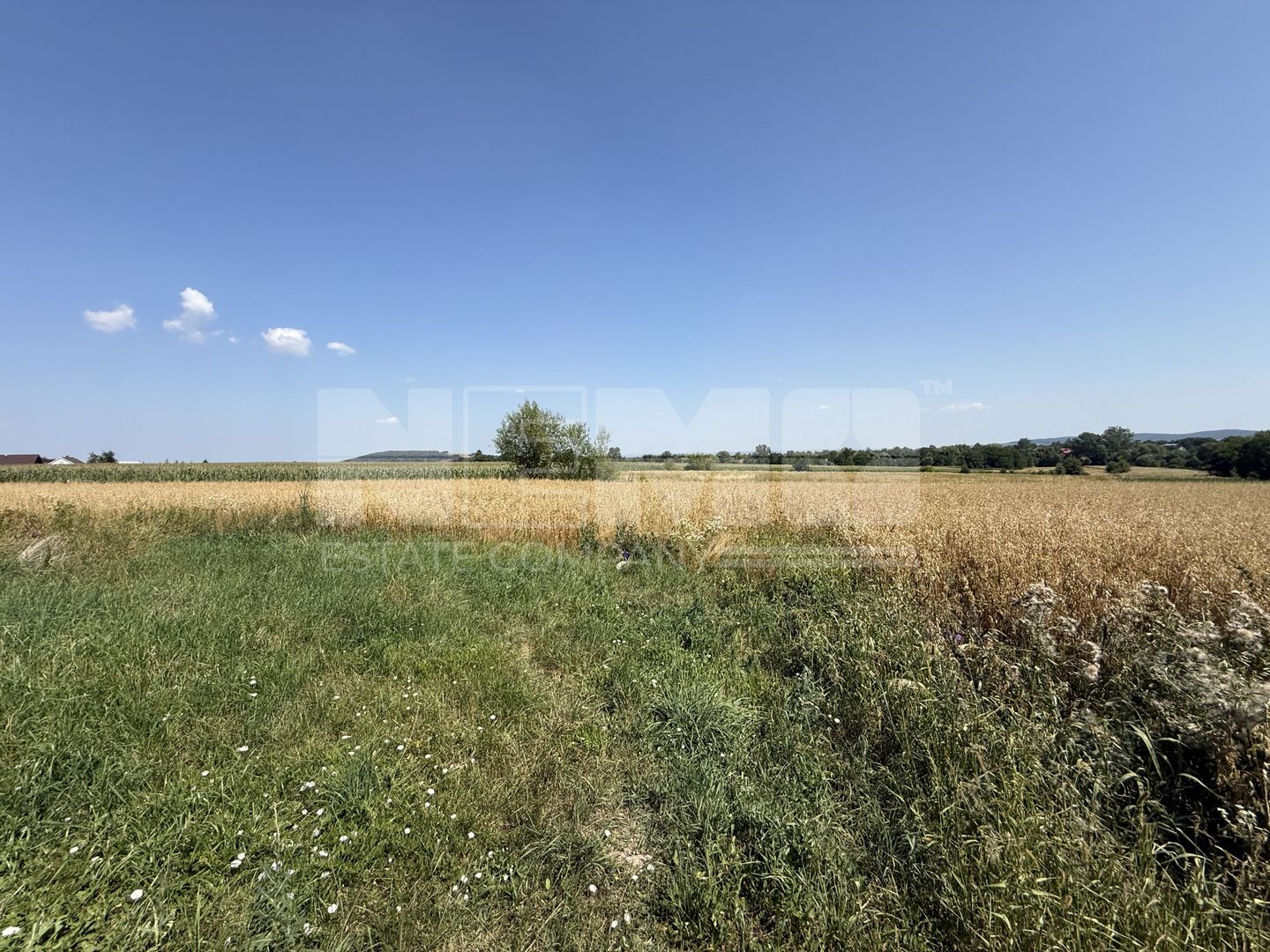 Teren intravilan de vânzare | Horodnic de Sus | 77 ari - Poză 5