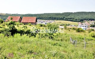 Teren 5.000 mp Corunca in spate la Dacia 40 euro mp - Poză 4