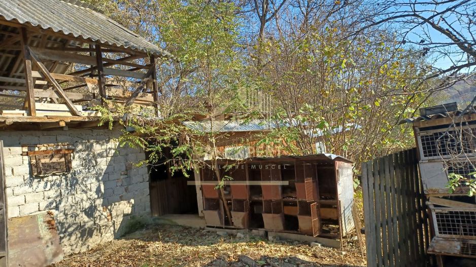 CASA 3 CAMERE, TEREN 1500 MP, VULTURESTI, ARGES - Poză 8