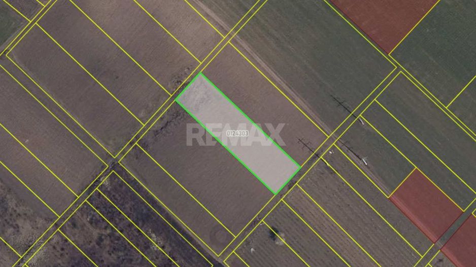 Teren agricol de 24 ari în Ghidighici – aproape de pădure, potrivit pentru investiție sau activitate agricolă - Poză 5