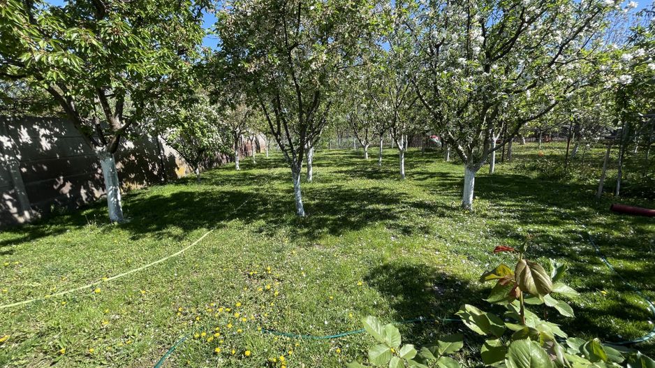 Casa cu teren frumos si garaj zona Mehala - Poză 21