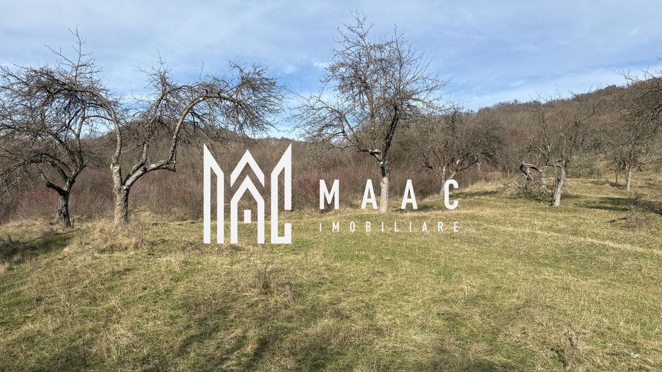 Teren  extravilan I 5300 mpI  Salatrucel -Calimanesti - Poză 1