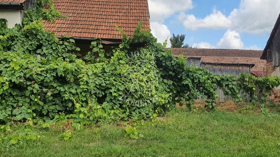 Casa 3 camere 126 mp-teren 4000 mp-Loc. Matei, Zona Centru - Poză 3