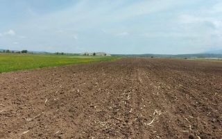 Teren extravilan de vânzare | Bradu | 10.000 mp | intabulat CF - Poză 4