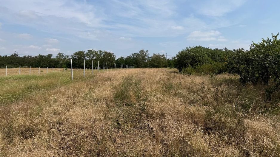 Teren intravilan Miersig, vedere la lac. 12,5 E/mp neg. Comision 0 - Poză 9
