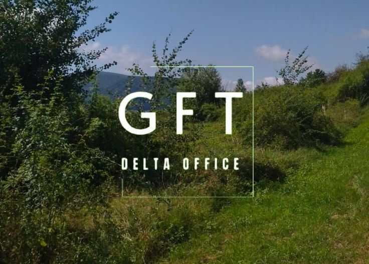 Teren intravilan 3100 mp-parcelabil-utilitati-ideal casa P+2E-Viisoara - Poză 1