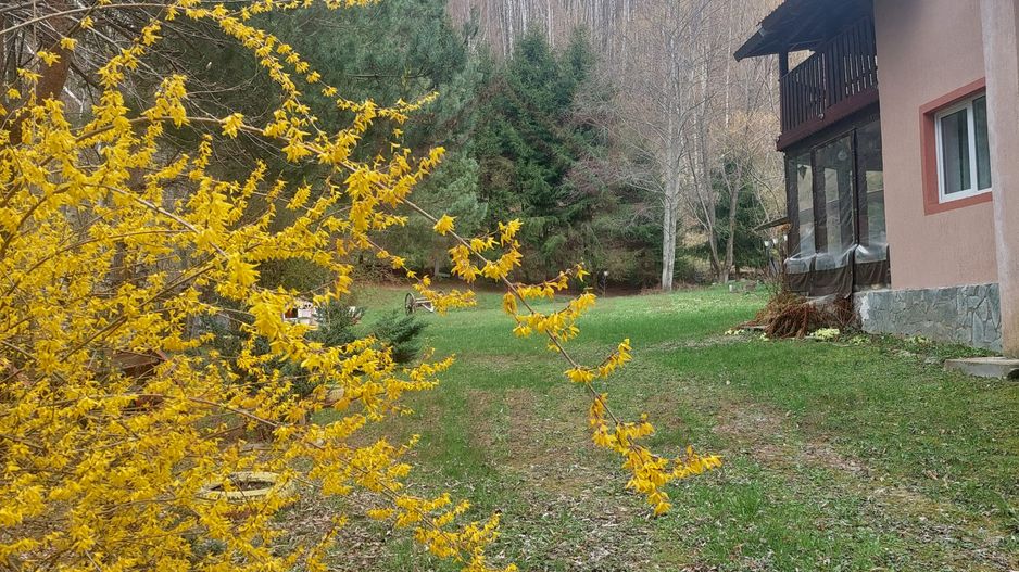 CASĂ DE VACANȚĂ 5 CAMERE,POINANA MĂRULUI, JUD.CARAȘ-SEVERIN - Poză 2