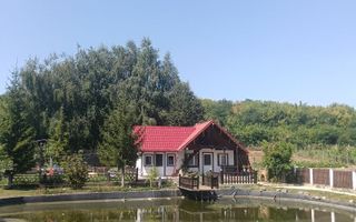 Cabana de închiriat în Iași, la 10 minute de centru - Poză 6