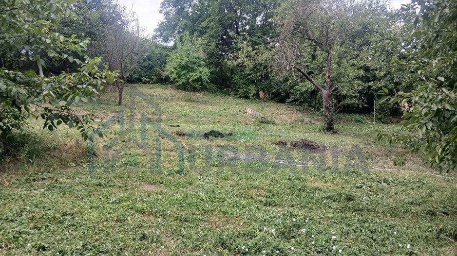 Teren intravilan 1.450 mp cu casă bătrânească și anexă în Podu Iloaiei, Iași - Poză 3