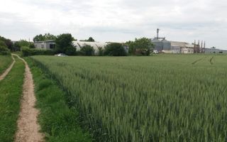 Teren Buftea cu iesire la lac - Poză 5