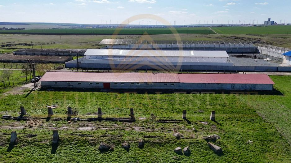 Tariverde - Ferma zootehnica functionala, 3 hectare teren intravilan! - Poză 6