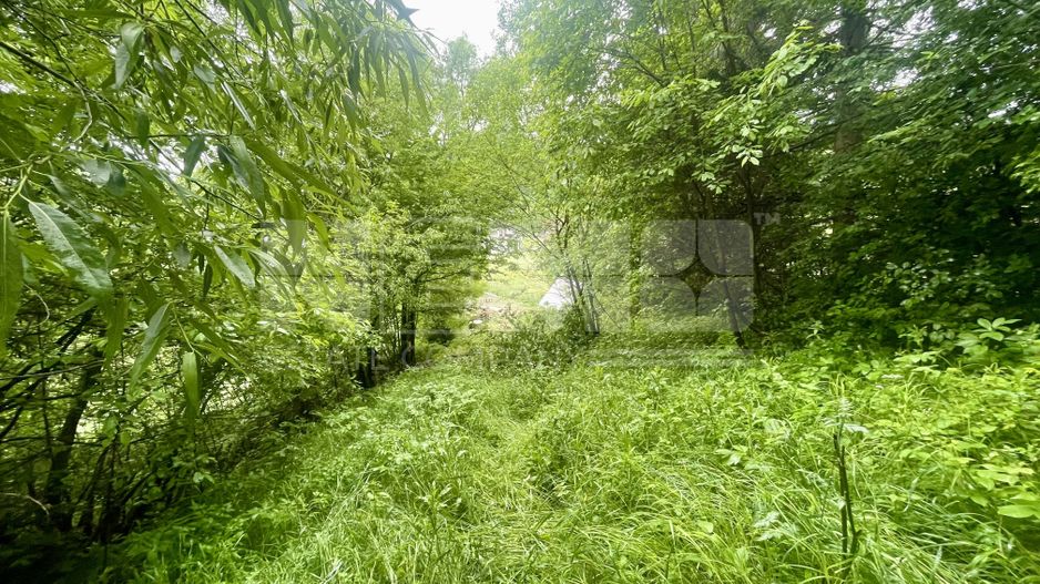 CASA LA ROSU | 12 ARI | SUCEVITA | LANGA PADURE - Poză 9