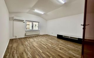 BRASADAS închiriază vila - zona Popa Nan, Calea Calarasilor. - Poză 5