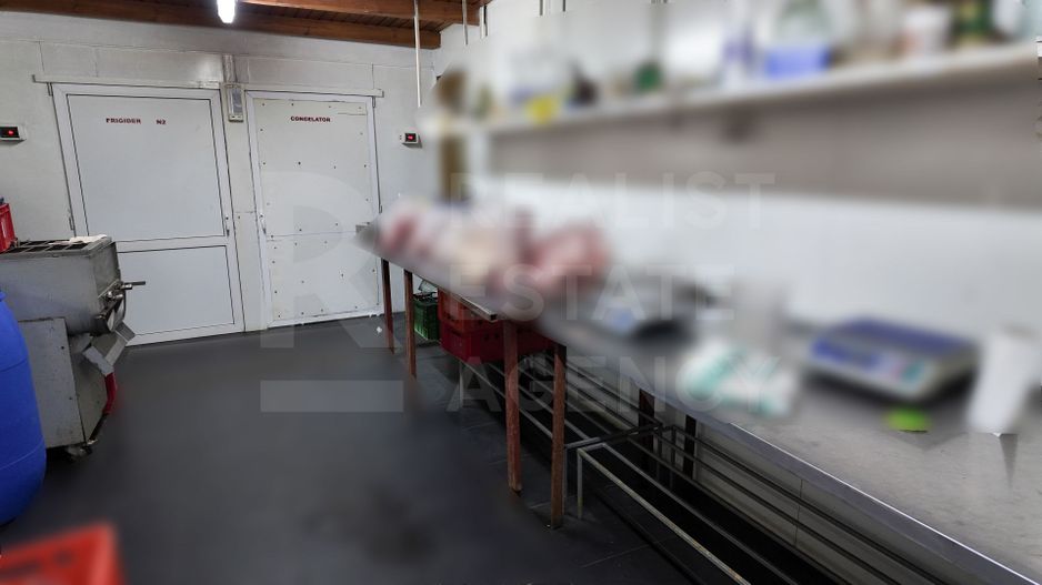 Vânzare, spațiu comercial, 359,2 mp,  Mitoc, localitatea Orhei - Poză 14