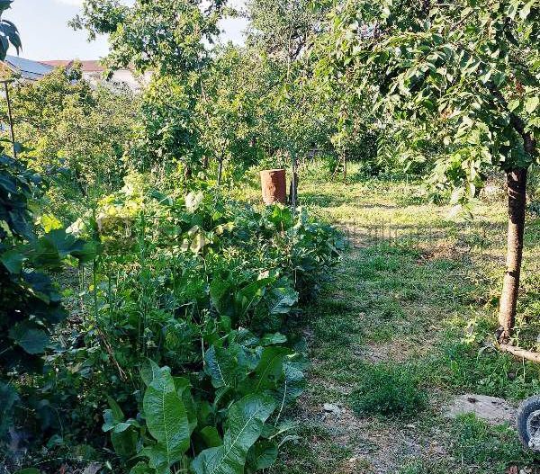 Casa cu 4 camere in Iosia - Poză 15