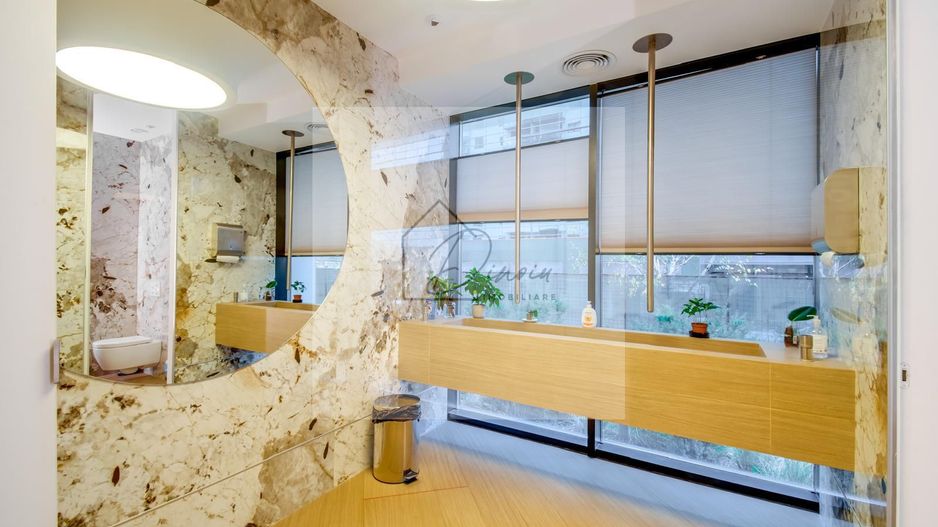 Cortina North I Spatiu de birouri de inchiriat I Mobilat si utilat LUX - Poză 2