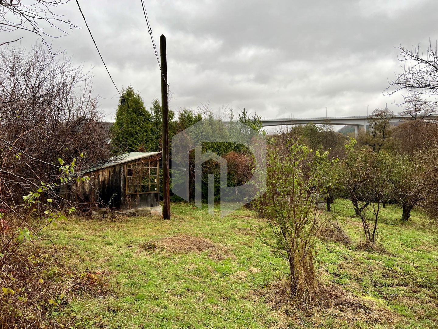 Teren cu livada+ casa de vanzare in Talmacel- 4000 mp - Poză 8