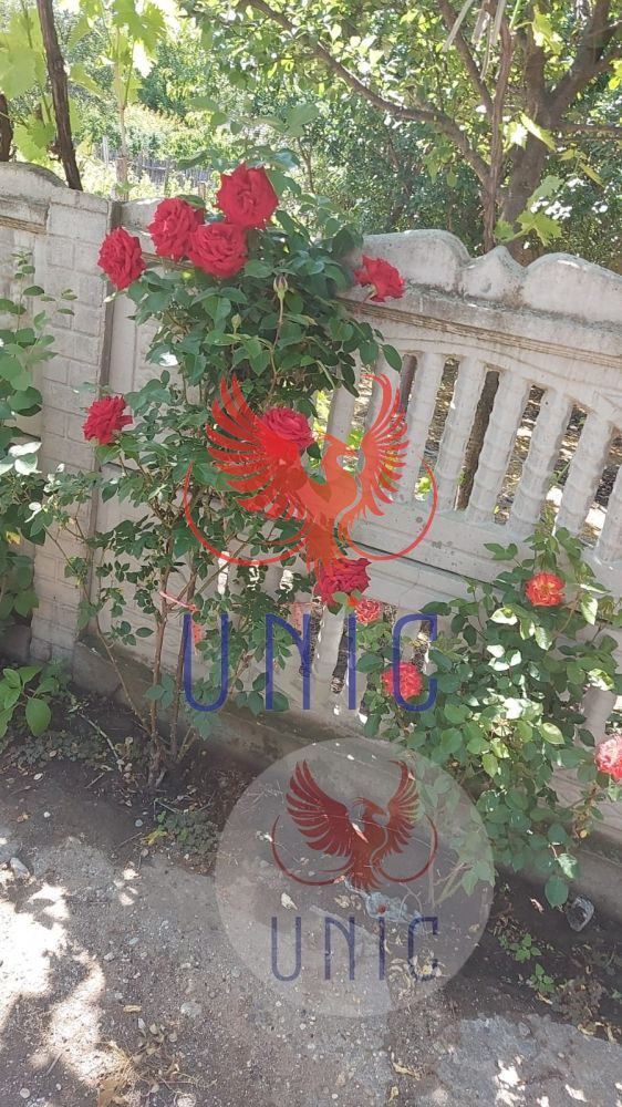 Casa pe parter, Marsani - Poză 10