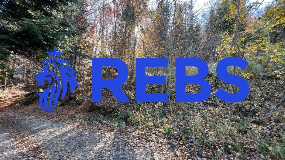 Teren 500 metri - central Sinaia - ideal constructii (COMISION ZERO) - Poză 5