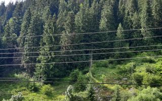 Pensiune in Muntii Apuseni 10 camere 1007 mp teren - Poză 17