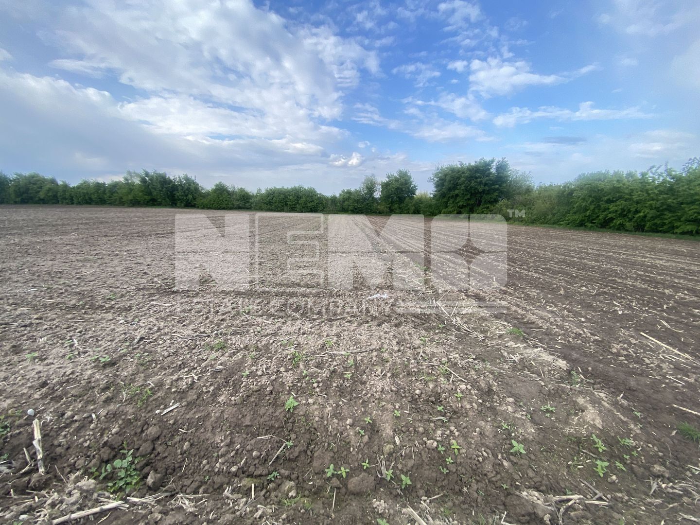 Teren Extravilan | 50 Ari | Horodnic De Jos - Poză 4