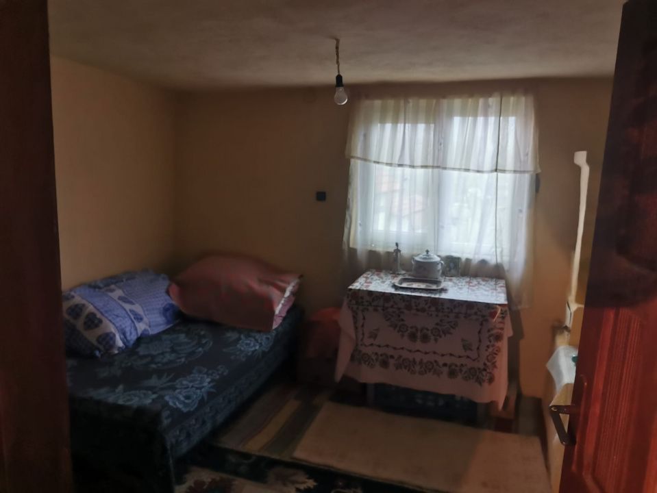De vanzare casa in Argetoaia cu teren 7.000 mp - Poză 9