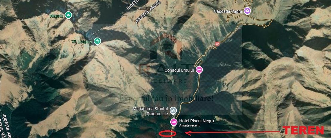 TEREN EXTRAVILAN PADURE PISCUL NEGRU ARGES - Poză 9