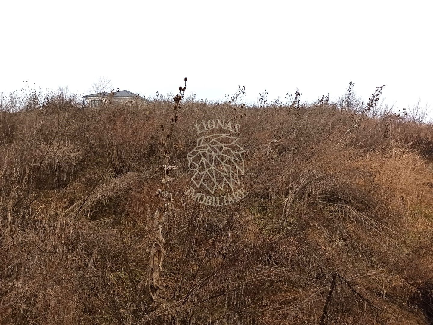 Teren intravilan 600 mp-ideal casa-Valea Sigmirului - Poză 1