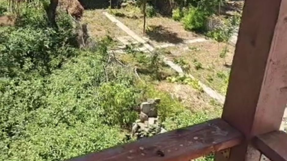 De închiriat – Casă 300 mp în Centru, ideală pt birouri, clinică sau grădinita - Poză 3