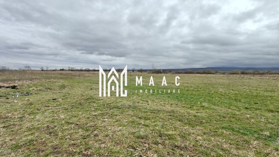 Teren extravilan I 2400 mp I Arabil I Teren drept I Cristian - Poză 4