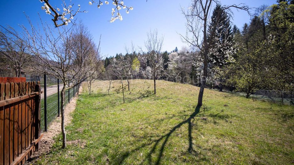 Teren intravilan, pretabil pentru casa de vacanta, 2000 mp - Poză 7