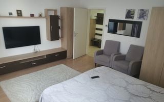 Apartament o cameră cu bucătărie separată - Doamna Stanca - Poză 4