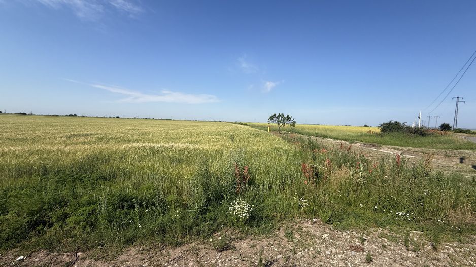 Teren 10 hectare pretabil pt panouri solare-Aricesti Rahtivani - Poză 5