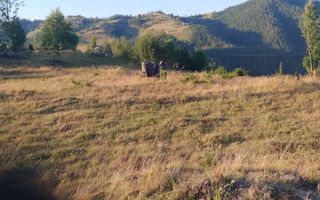 Teren pretabil constructie cabane in Garda de Sus - Poză 3