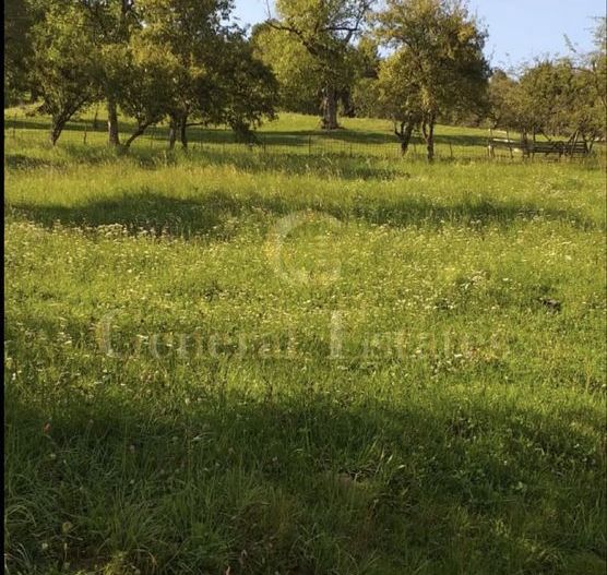 Teren Moieciu de Jos - Poză 1