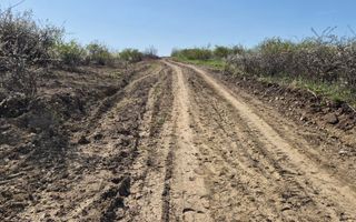 Teren intravilan de vânzare în comuna Tomesti - Poză 5