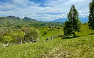 Teren in sat Pestera, comuna Moeciu. - Poză 7