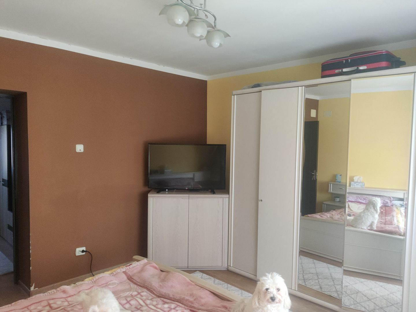 CASA CU TEREN 838 MP ZONA STEAUA - Poză 4