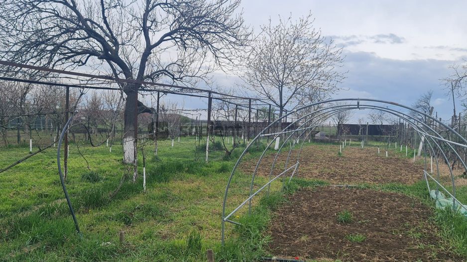 Sapient | Casa zona Episcopia Bihor - Poză 16