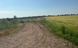 Teren 10 hectare pretabil pt panouri solare-Aricesti Rahtivani - Poză 14