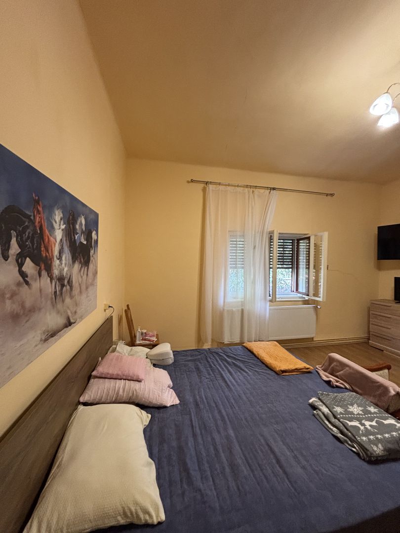 Casa cu teren și grădina zona Bogdanestilor - Poză 4