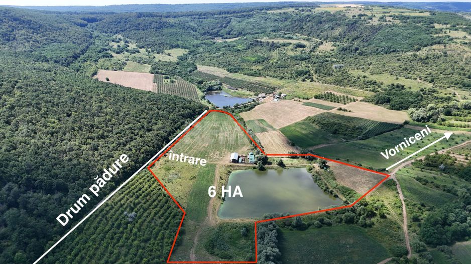 Teren de 6.2 Hectare cu Iaz propriu, lângă pădure – Vorniceni, Strășeni! - Poză 2