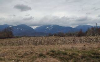 Teren extravilan de vanzare - Arpasul de Sus - Poză 1