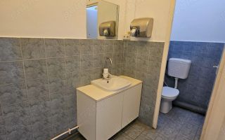 SPATIU COMERCIAL | TRAFIC RIDICAT | PRETABIL DIVERSE ACTIVITATI | IANCULUI | - Poză 7