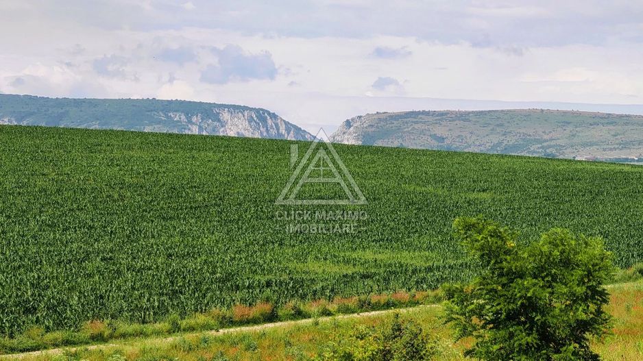 28.554 mp TEREN EXTRAVILAN, TURDA – SĂNDULEȘTI, jud. CLUJ - Poză 8