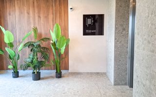 Locatie Premium I Blumana - Poză 13