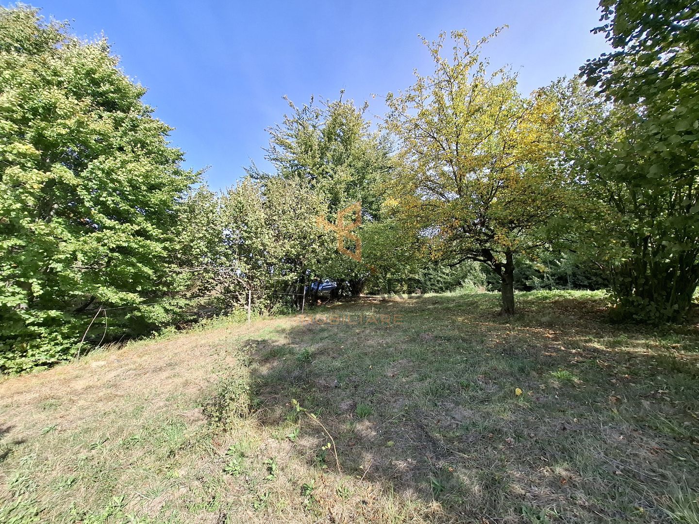 Comision 0. Teren cu autorizatie de construire in Salicea - Poză 3