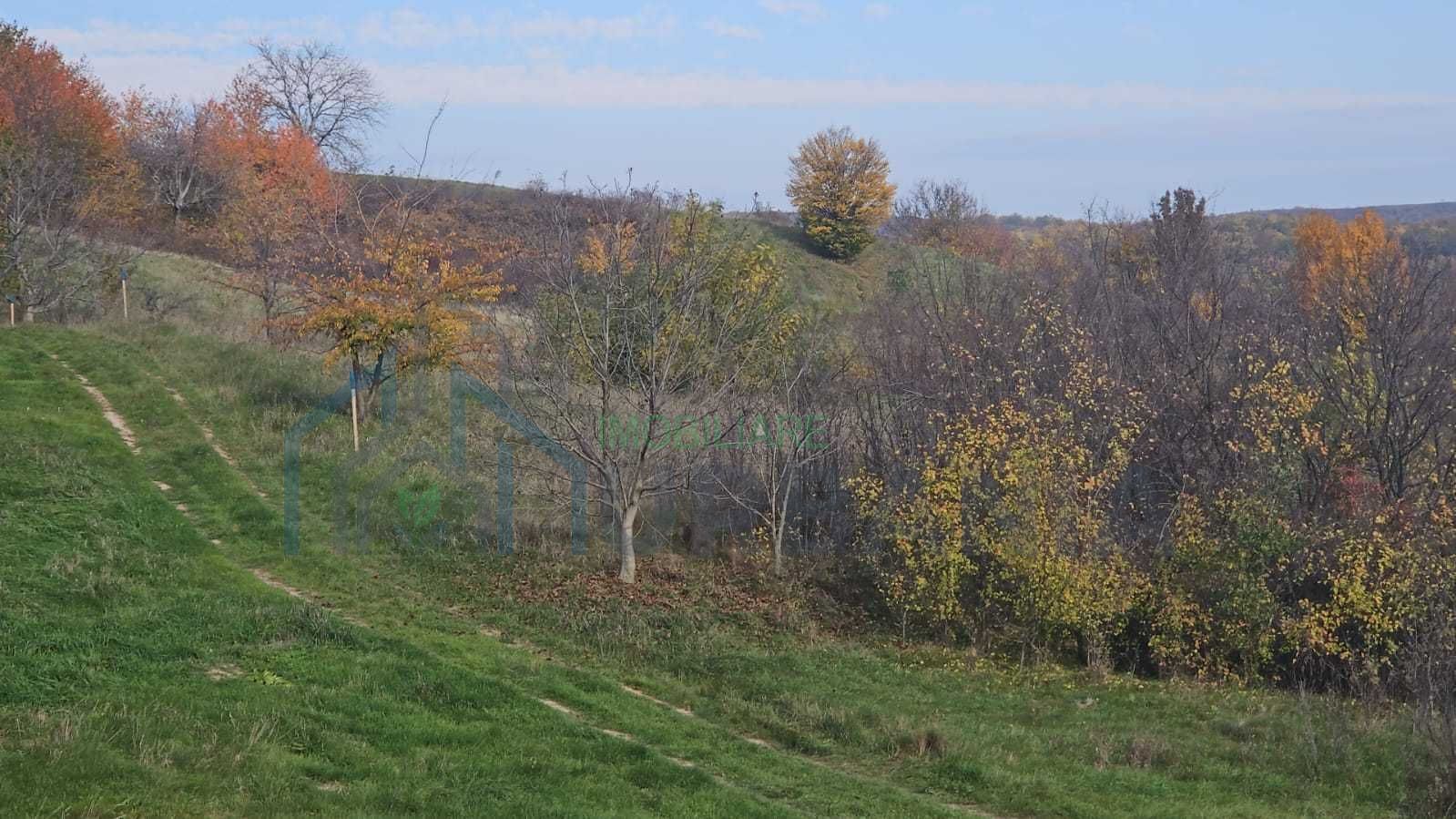 Teren intravilan 18.000 mp, Ciurea – Iași | 13 €/mp | 40 m front stradal la asfalt | Utilități - Poză 5